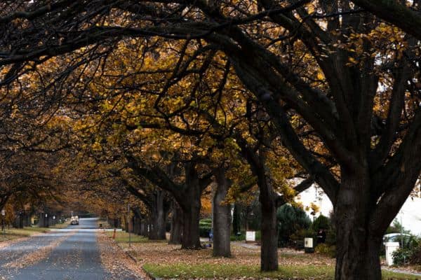 Canberra